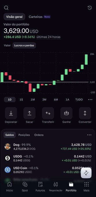 A screenshot of a cryptocurrency portfolio app in Portuguese shows a total value of '3.629,00 USD' with an increase of '+286,4 USD (+8,56%)' in the last 24 hours, accompanied by a candlestick chart and holdings including DOG, USDG, and USDC.