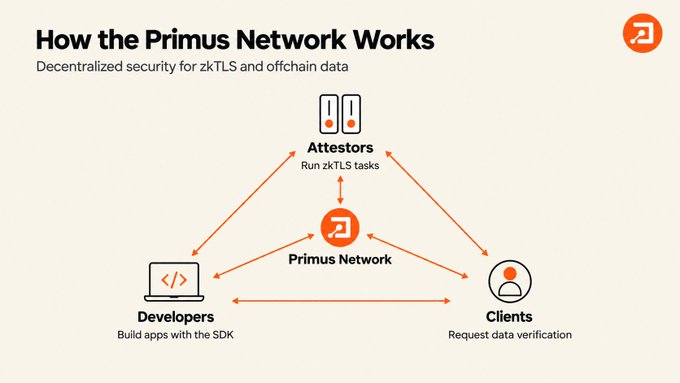 An infographic titled 'How the Primus Network Works' illustrating a triangular relationship between Attestors (running zkTLS tasks), Developers (building apps with the SDK), and Clients (requesting data verification) around the central Primus Network.