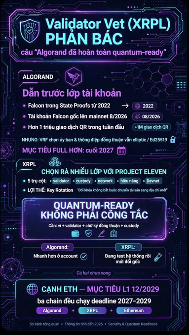 An infographic titled 'Validator Vet (XRPL) PHẢN BÁC' debunking the claim that Algorand is quantum-ready, comparing XRPL's approach with Validator, Custody, and Network layers.