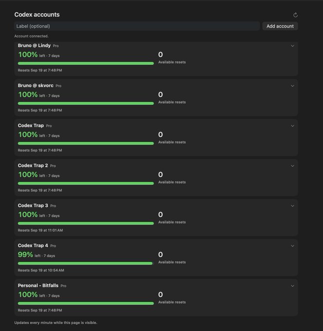 A dashboard interface showing 'Codex accounts' with multiple Pro accounts (Bruno @ Lindy, Codex Trap 1-4, Personal - Bitfalls) all displaying 100% or 99% usage left with reset dates listed.