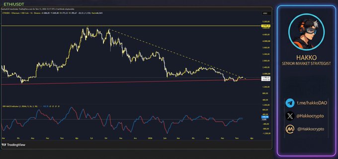 A TradingView candlestick chart for ETHUSDT is displayed with a purple sidebar identifying 'HAKKO SENIOR MARKET STRATEGIST' alongside social handles like t.me/hakkoDAO and @Hakkocrypto.