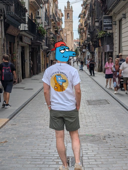 A person stands on a cobblestone street wearing a 'BITCOIN SNOOPS' t-shirt featuring a blue cartoon character that matches a digital overlay on their head.