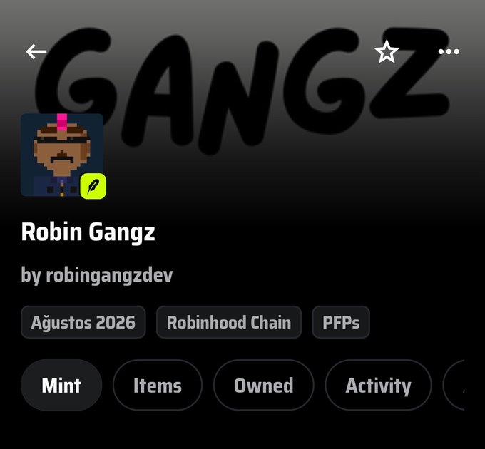 A digital collectible profile page for 'Robin Gangz' by robingangzdev on the Robinhood Chain, dated August 2026, categorized as PFPs, with options to Mint, view Items, Owned, and Activity.