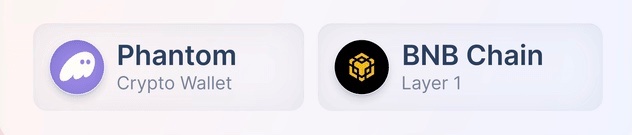 A digital display showing two cryptocurrency options: 'Phantom Crypto Wallet' and 'BNB Chain Layer 1' with their respective icons.