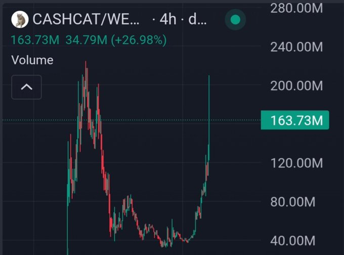 A 4-hour candlestick chart shows CASHCAT/WE... with a trading volume of 163.73M, up 34.79M (+26.98%), reflecting the surge in market cap to $210M following the announcement of its Robinhood listing.
