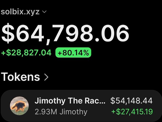 A crypto portfolio tracker screenshot for wallet solbix.xyz showing a total balance of $64,798.06 (+$28,827.04 or +80.14%), with the main holding being 2.93M $Jimothy tokens valued at $54,148.44 (+$27,415.19), visually illustrating the post's claim of turning $76 into $61,000+ in profit.