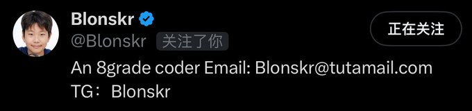 A Twitter/X profile for 'Blonskr' (@Blonskr) lists contact information: 'Email: Blonskr@tutamail.com, TG: Blonskr' with text describing an '8grade coder.'