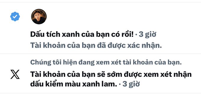 A Twitter/X account verification notification shown in Vietnamese, displaying 'Dấu tích xanh của bạn có rồi' (Your blue check is here) with 'Tài khoản của bạn đã được xác nhận' (Your account has been confirmed) and a second notification indicating review for a blue check.