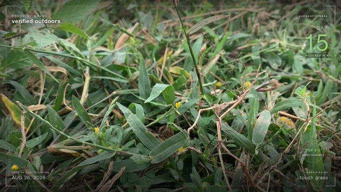 A nature observation screenshot showing grass and small yellow flowers, with overlays indicating 'verified outdoors', 'Day 15', '100% identified', 'AUG 26, 2026', and 'tough grass'.
