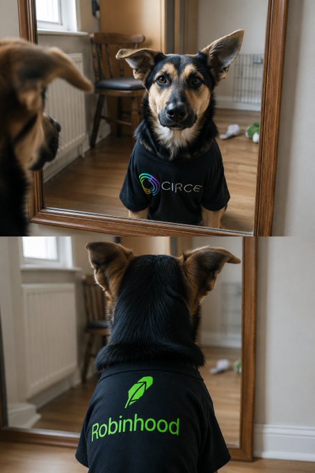A dog wearing a "CIRCE" shirt looks into a mirror, and then is shown from the back wearing a "Robinhood" shirt, referencing the "$ARP" fairlaunch on Robinhood.