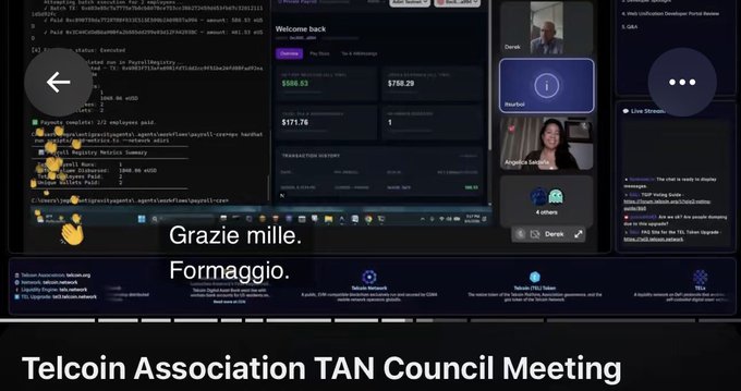 A screenshot from a Telcoin Association TAN Council Meeting livestream shows a video conference with multiple participants and technical displays, where on-screen Italian auto-captions mistakenly translate "Geez" as "Grazie mille. Formaggio." ("Thank you very much. Cheese."), highlighting an imperfect YouTube translation as noted in the accompanying post.