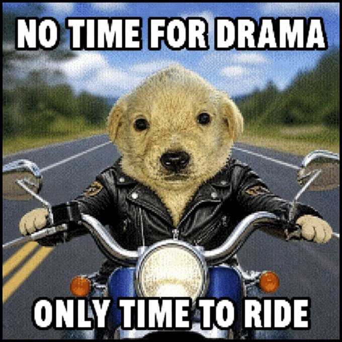 A golden retriever puppy in a leather biker jacket sits on a motorcycle, with bold text reading "NO TIME FOR DRAMA" at the top and "ONLY TIME TO RIDE" at the bottom. The image reflects the post's message about taking personal responsibility, letting go of complaints, and locking in with a focused mindset to build generational wealth.