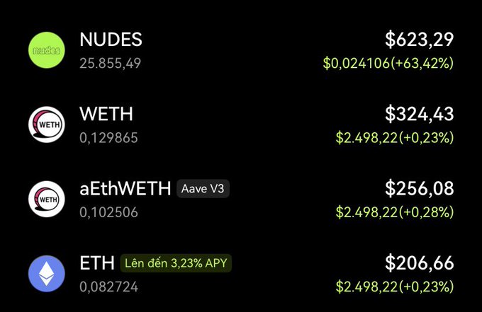 A cryptocurrency portfolio screen displaying NUDES ($623.29, +63.42%), WETH ($324.43), aEthWETH on Aave V3 ($256.08), and ETH ($206.66 with 3.23% APY).