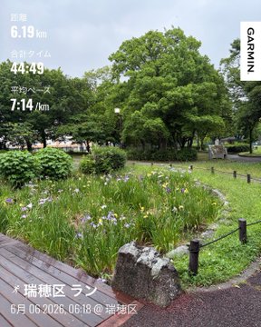 The image shows a park with trees, grass, flowers, and a large rock. The photo has been edited to include a time stamp of 6:19 am, indicating that someone took this picture at that moment. The post also includes Japanese text in the caption, which is not clear from the image itself.