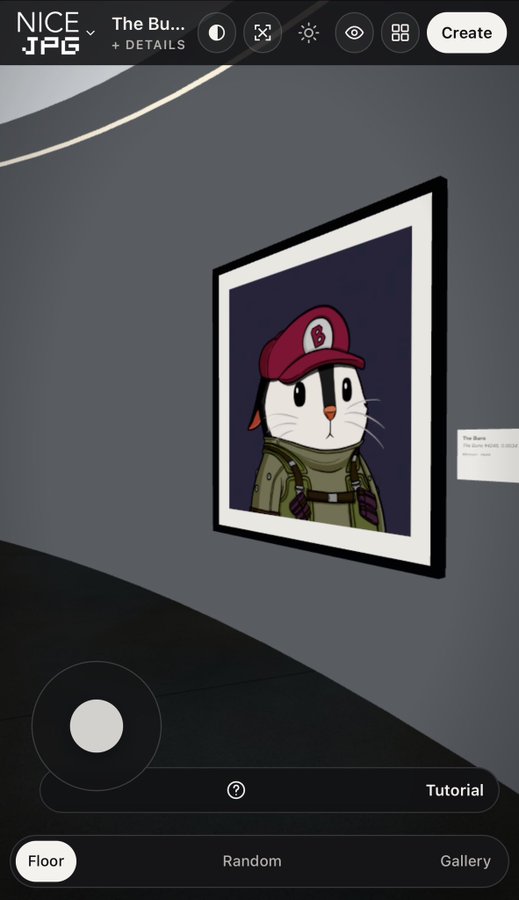 A mobile app interface shows an NFT gallery featuring a cartoon cat character wearing a red cap with a 'B' logo and a green jacket.