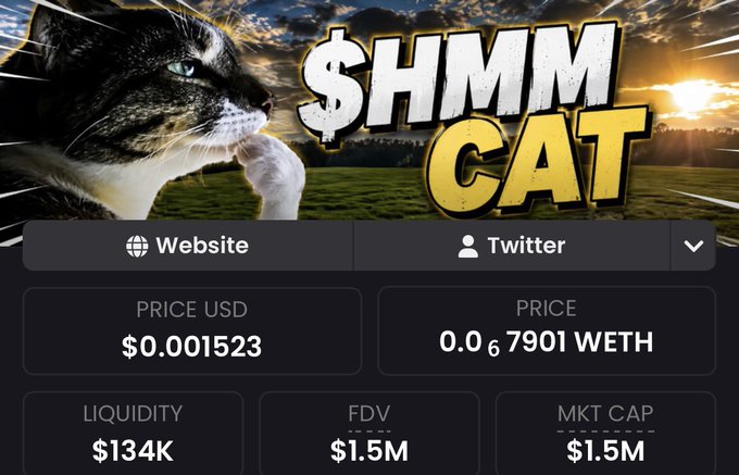 A cryptocurrency dashboard titled '$HMMM CAT' featuring a cat image, showing a price of $0.001523 USD, 0.067901 WETH, liquidity of $134K, FDV of $1.5M, and market cap of $1.5M.