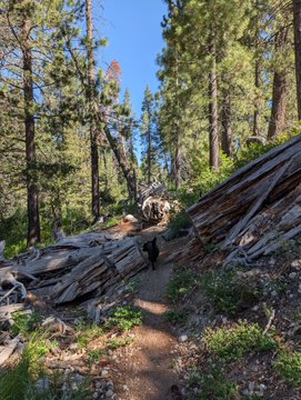 A hiker walks along a forest trail beside a large rocky outcrop, surrounded by tall pine trees under a clear blue sky—an outdoorsy visual nod to the "touch grass" reminder in the post about market movements and Hyperliquid.