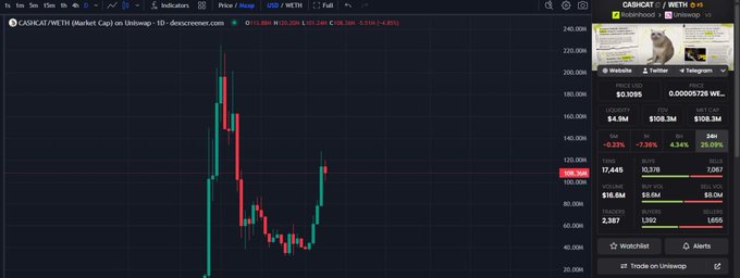A TradingView candlestick chart of CASHCAT/WETH shows a dramatic price spike to around $200K followed by a steep decline, with current price near $108.3M (up 4.34% on 24h volume of $4.9M)—a visualization of the volatile meme token's parabolic move and pullback that aligns with the highlighted early buyer's ~2x unrealized gain.