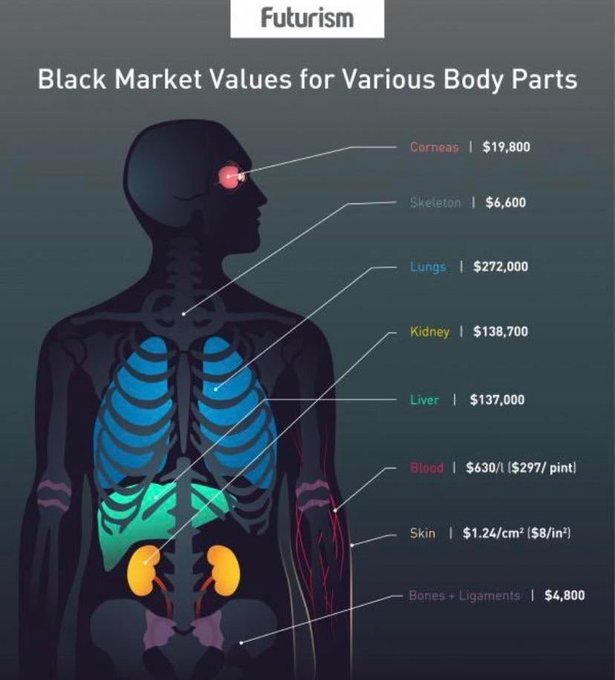 A Futurism infographic titled 'Black Market Values for Various Body Parts' showing a human silhouette and listing prices such as Corneas for $19,800, Lungs for $272,000, Kidney for $138,700, and Liver for $137,000.