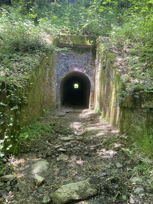 An old stone tunnel overgrown with moss and surrounded by lush greenery, with a small opening of light visible at the far end.