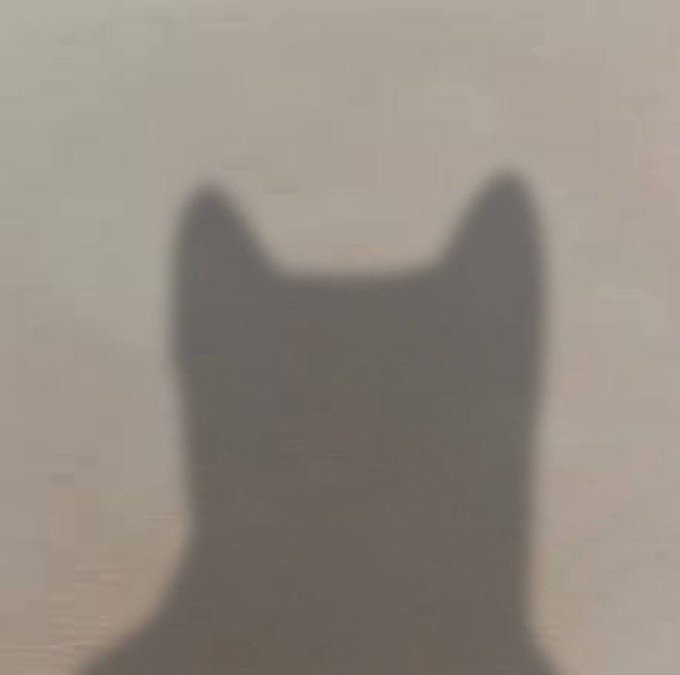 A blurry, minimalist image showing the dark silhouette of a cat against a soft beige/tan background.
