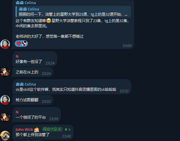 A chat conversation in Chinese between users 森森 Celina, N, and John Wick discussing course materials, with messages about oil pipeline tutorials (星野大学油管教程) and translations, with timestamps from 23:00 to 23:40.