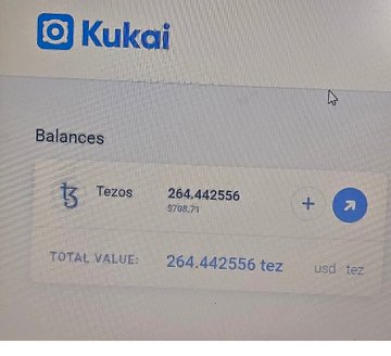 A screenshot of the Kukai wallet interface displays a Tezos balance of 264.442556 tez (approximately $798.71), shown with the total value in both USD and tez. The image appears to relate to the post by showcasing the user's crypto wallet holdings, though no direct connection to the Dogami NFT whitelist form mentioned in the caption is evident.