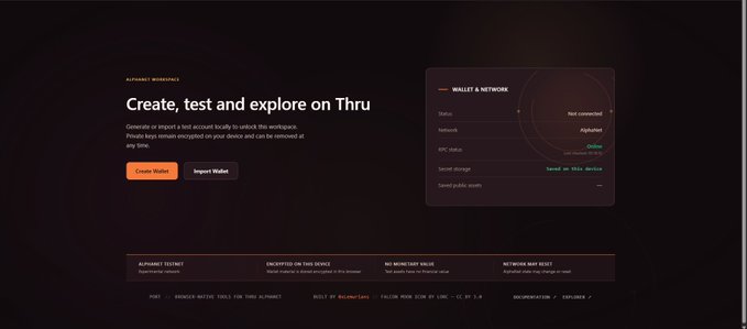A dark-themed website interface for 'THRU AUTOHARD WORKSPACE' with the heading 'Create, test and explore on Thru', featuring 'Create Wallet' and 'Import Wallet' buttons and a 'WALLET & NETWORK' panel showing 'Not connected' status.