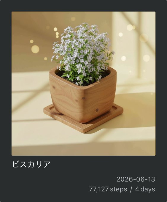 The image features a small potted plant with white flowers, placed on a wooden stand or tray. The photo has been captioned in both English and Japanese, which includes information about steps taken during the day.