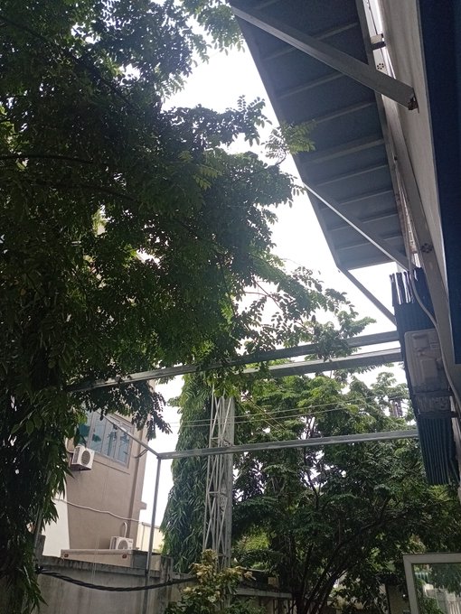 A low-angle view looking up at a building overhang, street signs, utility poles, and lush green trees against a bright sky.