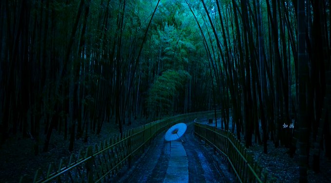 A moody, dark photograph shows a path through a dense bamboo forest at twilight, where a solitary figure walks holding a glowing blue umbrella.