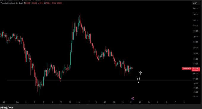 A TradingView 4-hour candlestick chart of the Perpetual Contract for $TAO/USDT (O218.59, H214.62, L213.14, C213.24, -0.04%) shows price action declining from highs near 290 down toward a horizontal support level around 207, with a hand-drawn arrow indicating an anticipated further drop—aligning with the post's call for a "bigger dip down."