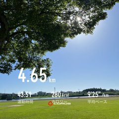 The image shows a beautiful day with a clear blue sky, trees, grass, and a lake. The sun is shining brightly, casting light onto the scene. In the background of the photo, there are two clocks visible - one on top of a building and another smaller clock near the bottom right corner of the image.

The post features an interesting combination of elements: it has Japanese text in both English and Chinese, as well as some numbers and measurements related to distance or calories burned during exercise. The photo itself is taken from a low angle, giving prominence to the trees and sky while also providing a unique perspective on the scene.