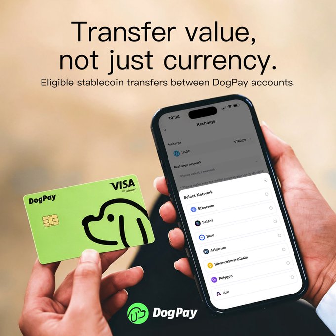 A DogPay promotional graphic shows a green Visa Platinum card and a phone selecting blockchain networks, with the headline “Transfer value, not just currency.”