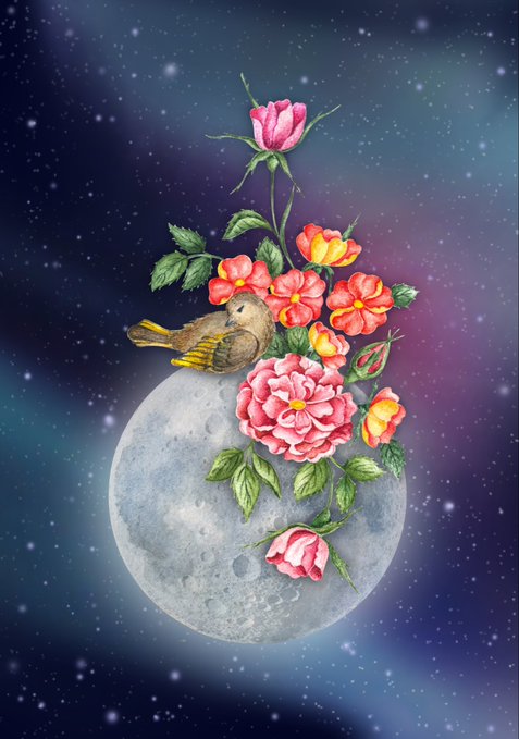 The image features a large rose bouquet with pink roses and yellow flowers, including one with red petals, all depicted against a space background of stars, giving off a celestial feel. A small bird is perched atop a larger rose that also has yellow flowers on it, as if observing its surroundings or waiting for someone to admire the arrangement. The image does not contain any text or other specific actions by humans; however, when viewed in relation to what is written below the image, one would find the post title "Hi my dear friends My new 1/1 artwork had been minted and is now available on #objkt ... Peace does not appear suddenly, it blossoms where love has taken root... Price: 120 Tez obkt.com/tokens/KT1ViR9".