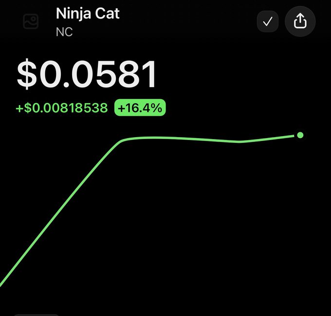 A crypto price tracking screenshot for 'Ninja Cat (NC)' showing a price of $0.0581, up 16.4% (+$0.00818538) on a green trend line.