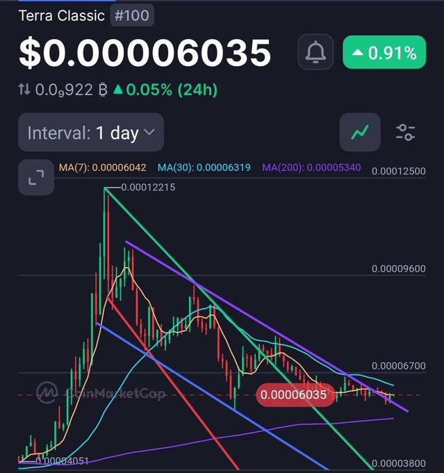 A cryptocurrency price chart for Terra Classic (LUNC) showing a current price of $0.00006035 with a 0.91% increase, displayed on a 1-day interval with multiple moving averages and descending trend lines visible.