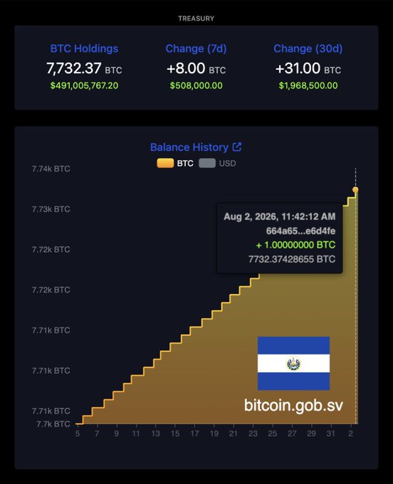 A screenshot of a cryptocurrency treasury dashboard showing BTC Holdings of 7,732.37 BTC ($491,005,767.20), with a 7-day change of +8.00 BTC ($508,000.00) and a 30-day change of +31.00 BTC ($1,968,500.00), featuring a balance history chart and a tooltip showing Aug 2, 2026 data, with an El Salvador flag and the text 'bitcoin.gob.sv'.