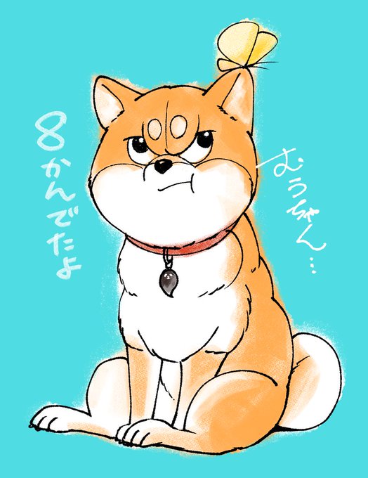 A grumpy-looking Shiba Inu sits against a teal background with a yellow butterfly perched on its head, wearing a red collar with a bell. The Japanese text reads "8かんだよ" (It's 8 o'clock) and "よるちゃん..." (Yoru-chan...), referencing the Shiba-themed character series featured in the property collection.