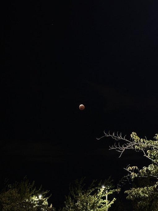 A dark night sky featuring a reddish moon, likely during a lunar eclipse, with treetops and a streetlight visible at the bottom.