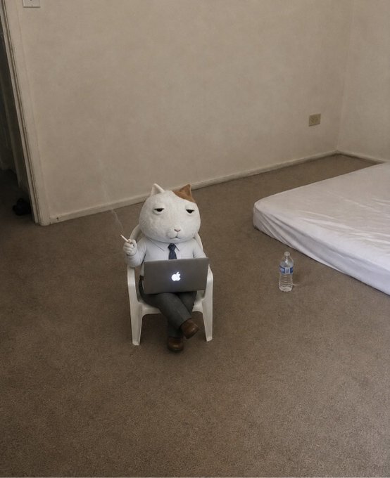 A photograph of a plush cat toy wearing a tie and holding a small laptop, sitting in a chair next to a water bottle in a sparsely furnished room with a mattress on the floor.