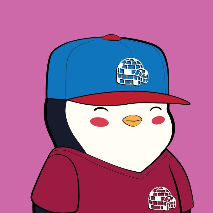 A cartoon penguin illustration wearing a blue and red baseball cap featuring an igloo logo and a matching maroon hoodie with an igloo patch, set against a pink background.