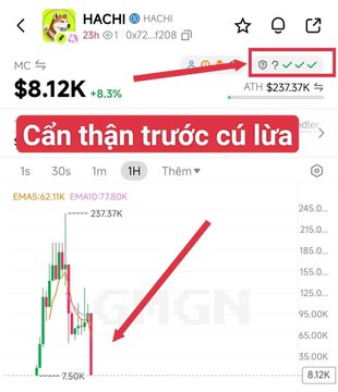 The image shows a cryptocurrency trading chart for the token "HACHI" priced at $8.12K, with a warning label "Cần thận trước củ lừa" (Vietnamese for "Beware of scam"), highlighting a dramatic price drop from an all-time high of $257.37K down to $7.50K, illustrating the cautionary tale about a memecoin profit-taking swap that resulted in catastrophic losses.