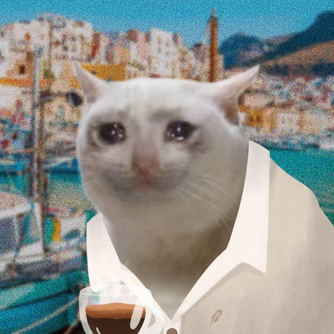 A white cat with a serene expression is set against a grainy Mediterranean coastal backdrop, dressed in a crisp white button-up shirt and holding a cup of coffee, embodying the polished, self-assured "new arc" mood of the post's confident rebrand.