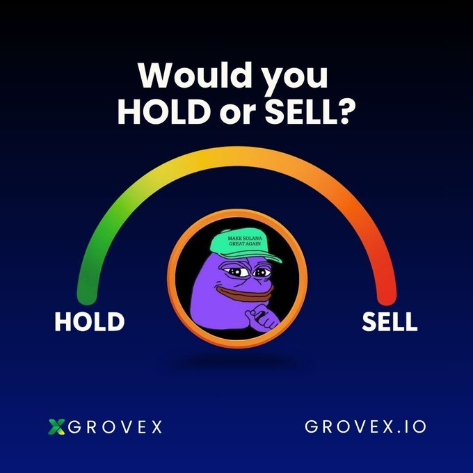 A promotional graphic for Grovex featuring a "HOLD or SELL" gauge meter with a Pepe the Frog-style purple character wearing a "MAKE SOLANA GREAT AGAIN" hat positioned in the center. The gauge ranges from green "HOLD" on the left to red "SELL" on the right, with "X GROVEX" and "GROVEX.IO" branding at the bottom, directly visualizing the dilemma posed in the accompanying post about $PURPE holders deciding whether to hold or sell during market chaos.