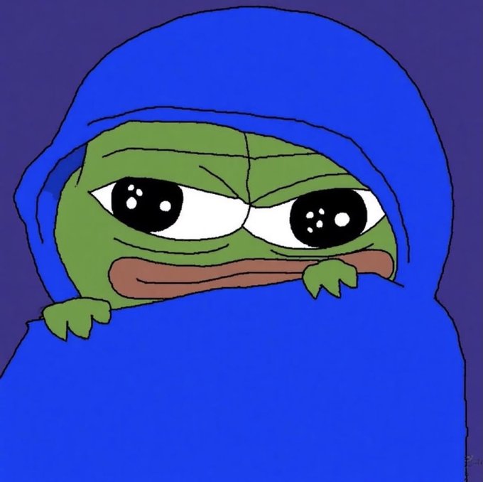 A cartoon drawing of a green Pepe the Frog character wrapped in a blue blanket/hood, with large glossy eyes and a smug expression against a purple background.