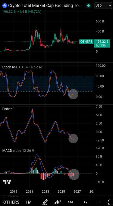 TradingView chart of the Crypto Total Market Cap Excluding Top 10 ($196.32B) displayed with Stochastic RSI, Fisher, and MACD technical indicators on a daily timeframe.