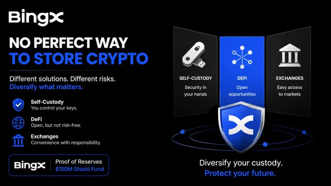 BingX cryptocurrency exchange promotional graphic stating 'NO PERFECT WAY TO STORE CRYPTO' and 'Diversify your custody. Protect your future,' highlighting self-custody, DeFi, and exchanges alongside its $150M Shield Fund.
