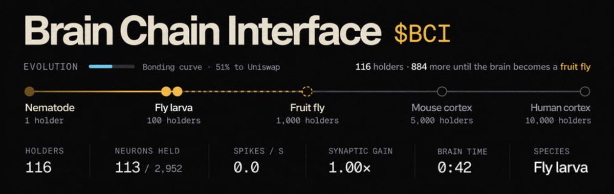 A dashboard interface titled 'Brain Chain Interface $BCI' showing a bonding curve progress bar at 51%, with 116 holders and milestones from Nematode to Human cortex, currently at the 'Fly larva' stage.