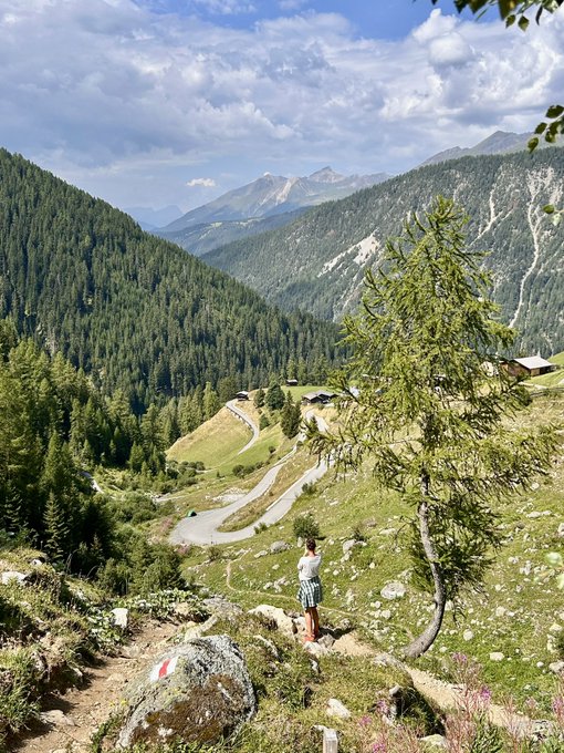 A scenic mountain valley with a winding road, dense pine forests, and a person standing near a tree in the foreground under a partly cloudy sky.